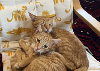 Jussi und Ona 251123-094141