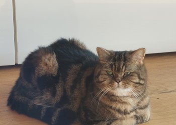 KILIAN 250925-075611