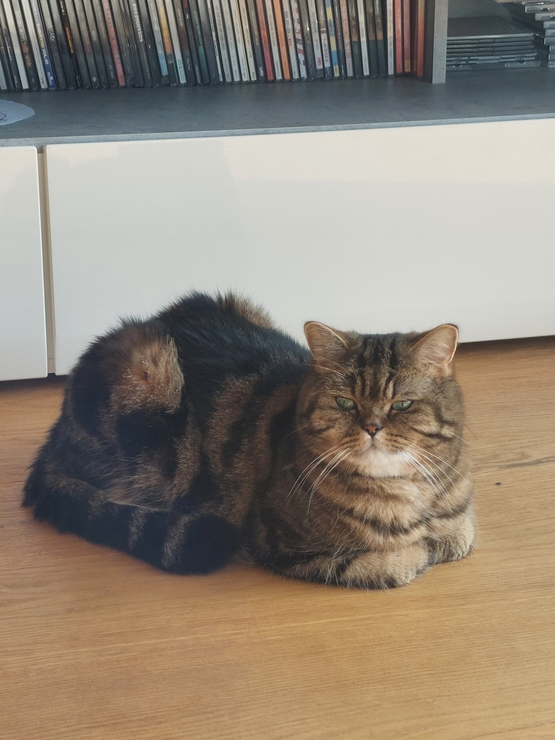 KILIAN 250925-075611