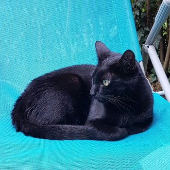 Kalliope 251022-212512