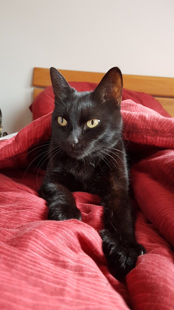 Kalliope 251022-212512