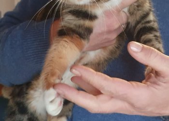 Unbekannt 251225-201708