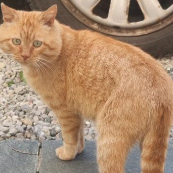 Kasimir 250910-132931