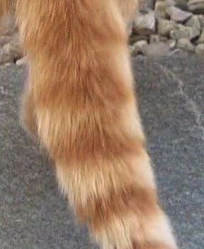 Kasimir 250910-132931