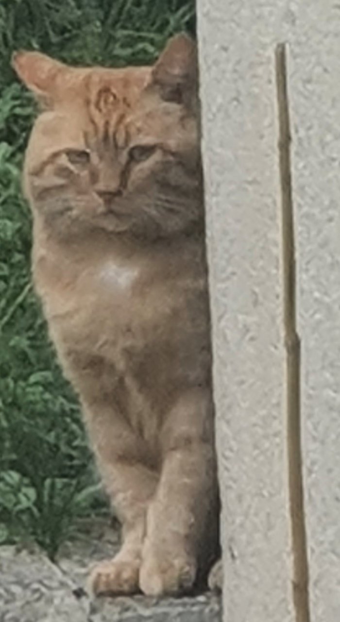 Kasimir 250910-132931