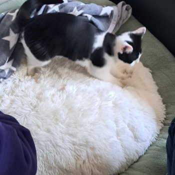 Unbekannt 260114-153319