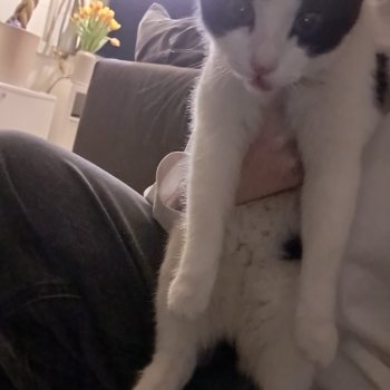 Unbekannt 260114-153319