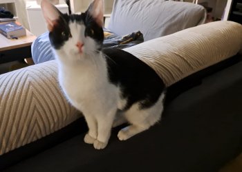 Unbekannt 260114-153319