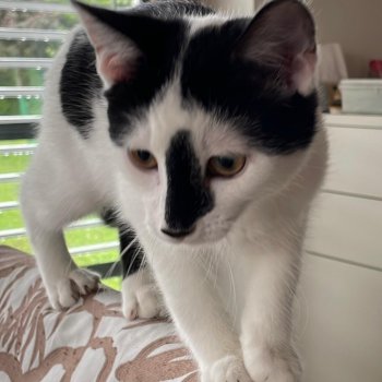 Keijht 251112-124402