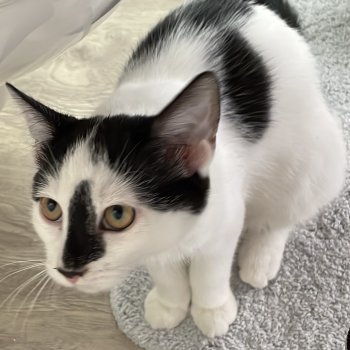 Keijht 251112-124402