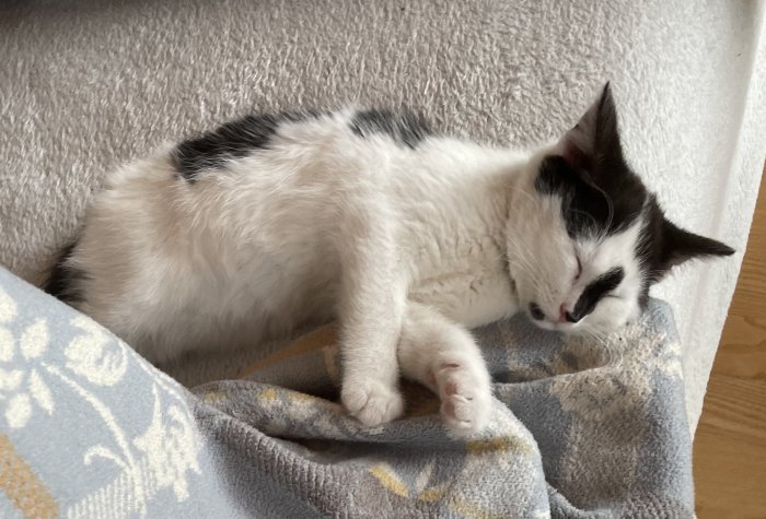 Keijht 251112-124402