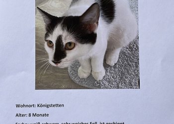 Keijht 251112-124402