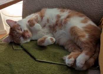 Kelvin 260204-164306