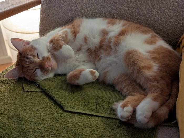 Kelvin 260204-164306