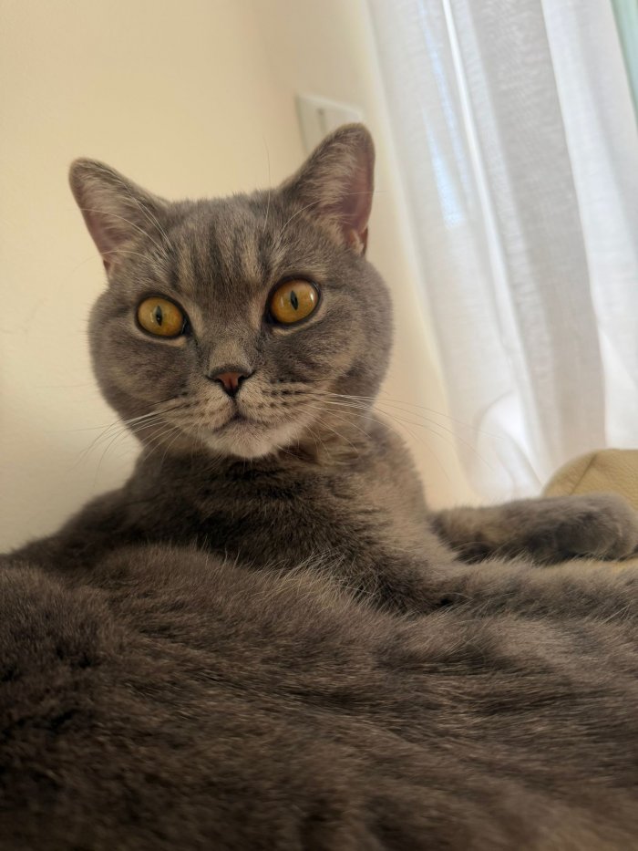Kiki 260514-164010