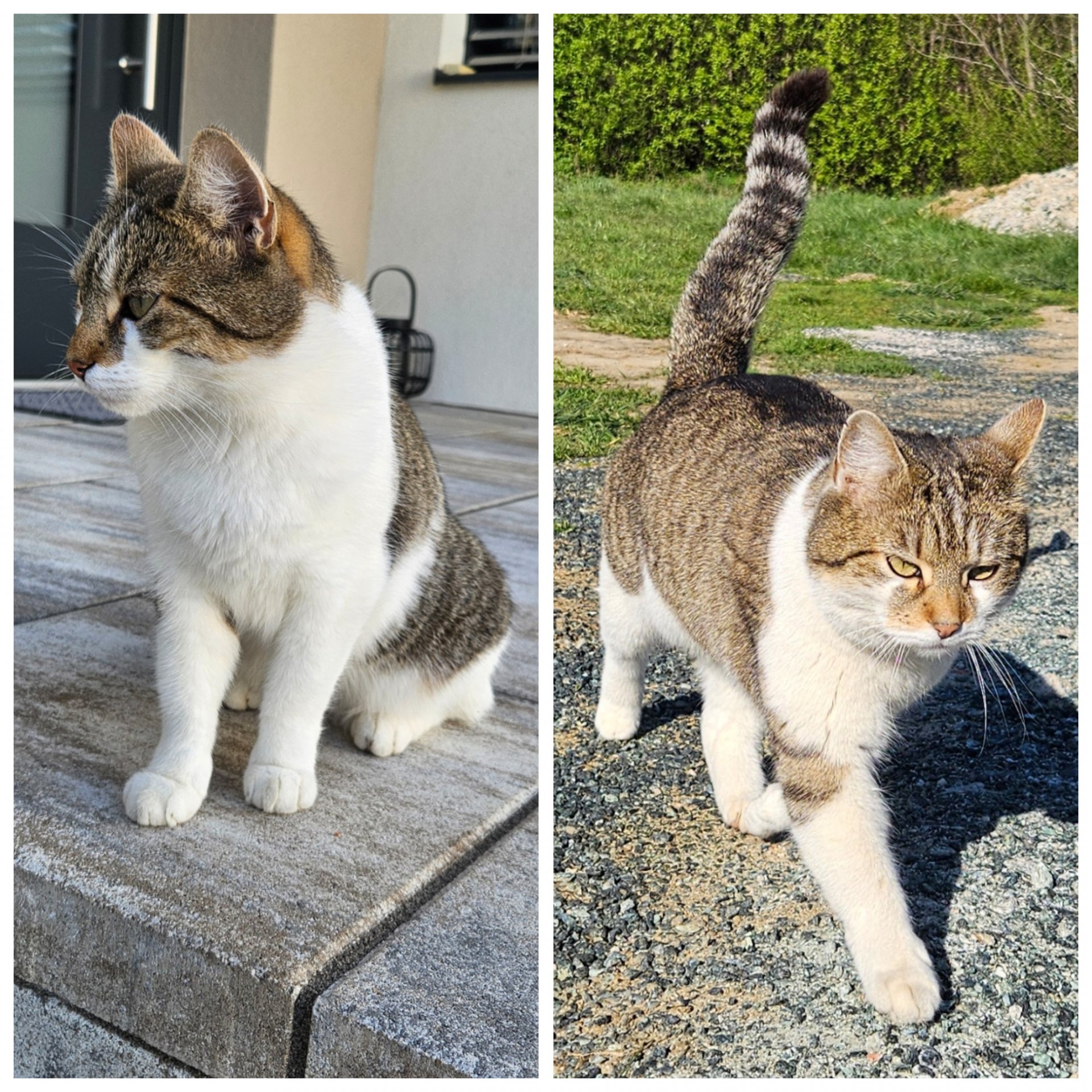 Kiki 260508-082238