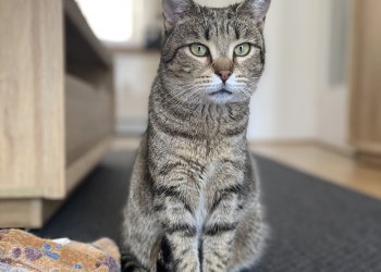 Kiki 250409-201218