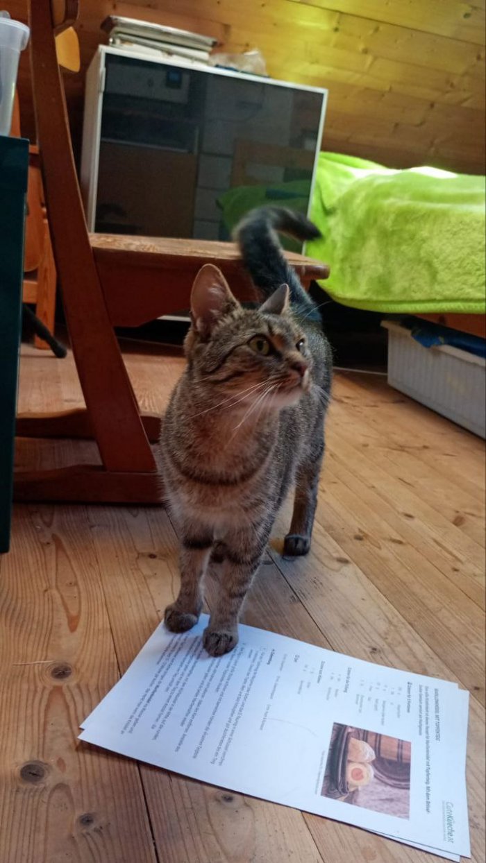 Kiki 250807-083929