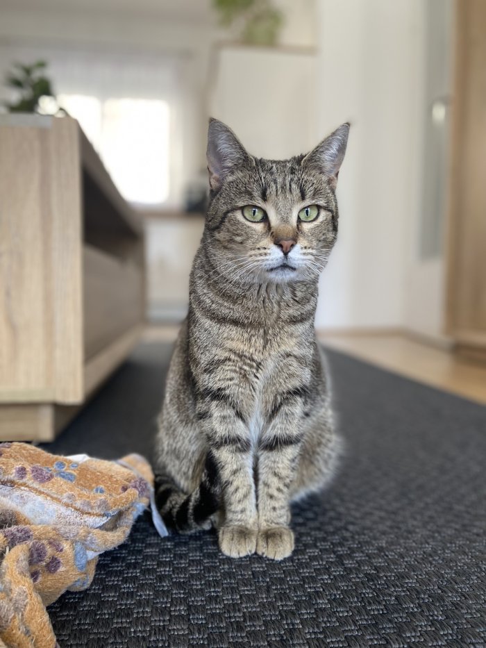 Kiki 250409-201218