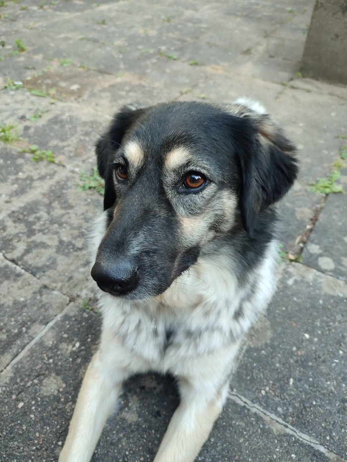 Kira 250619-214954
