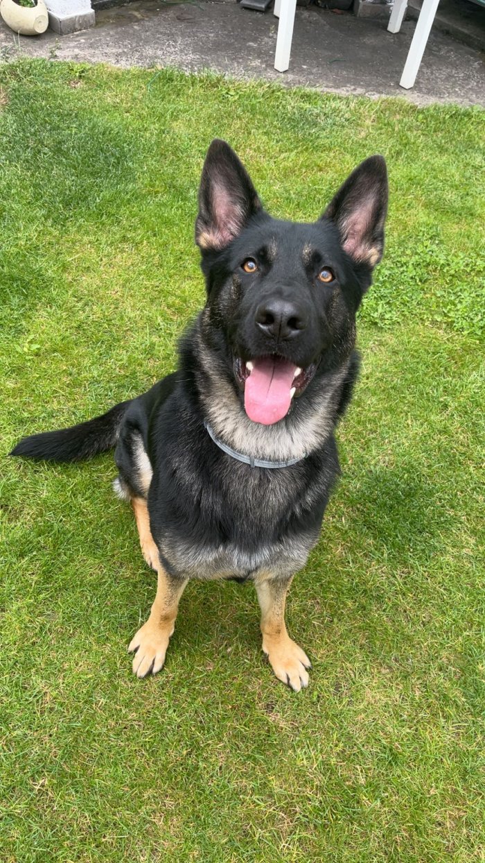 Kira 250610-091430