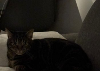 Knödel 260324-192937