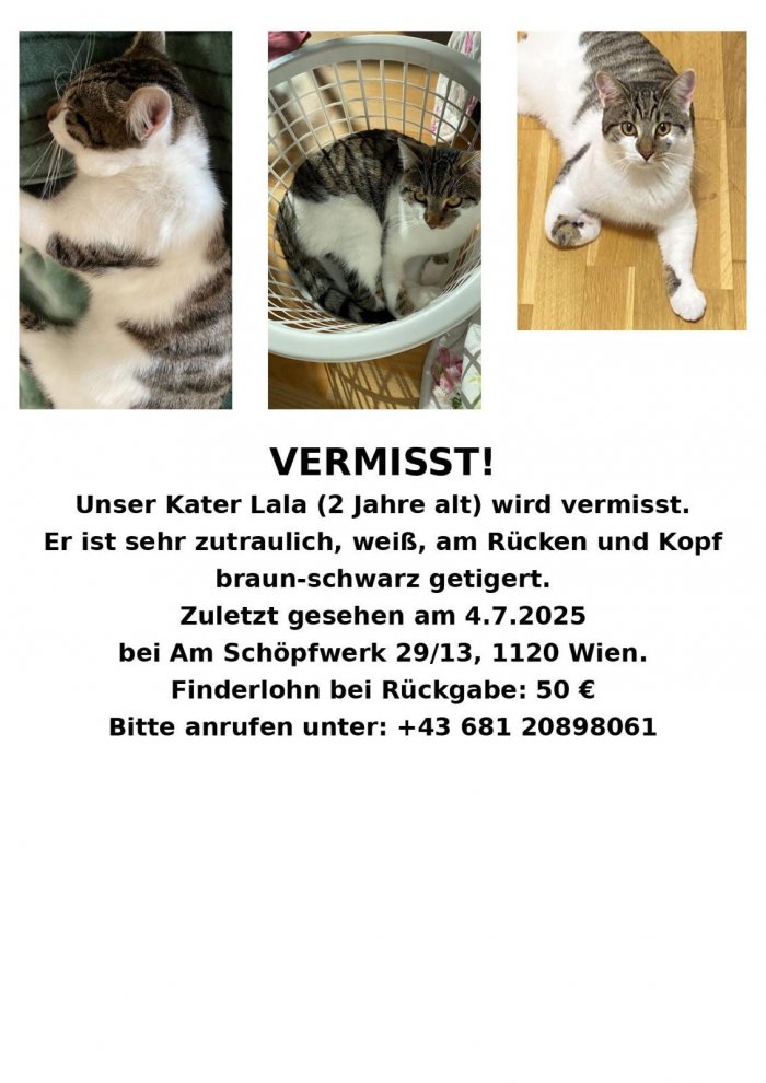 Lala 250707-212836