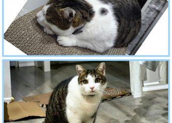 Lancelot 251028-172834