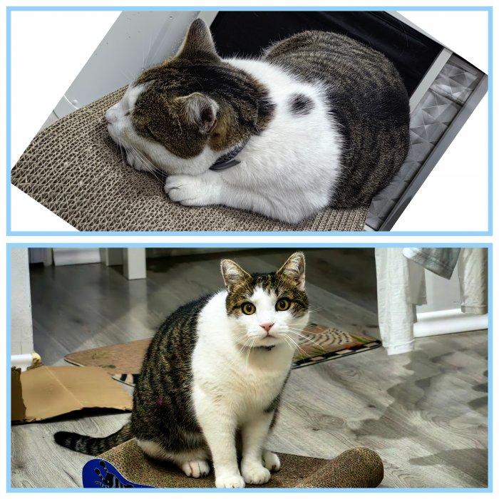 Lancelot 251028-172834