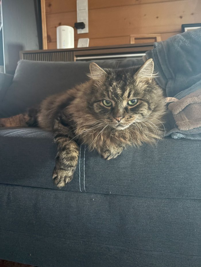 Lanzelot 260331-155448