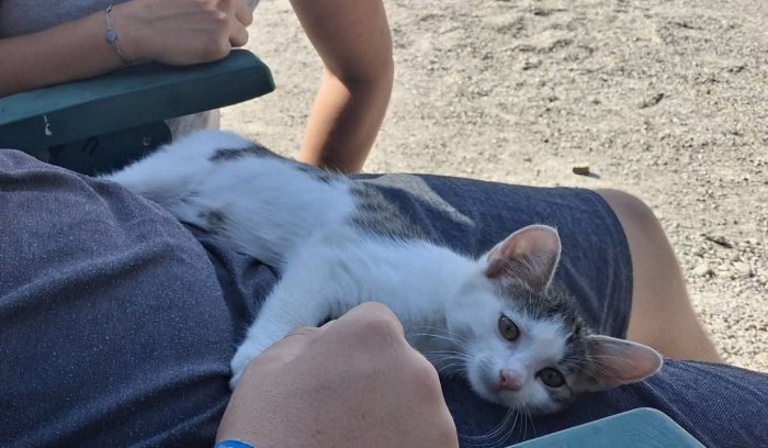 Lauser 250821-132634