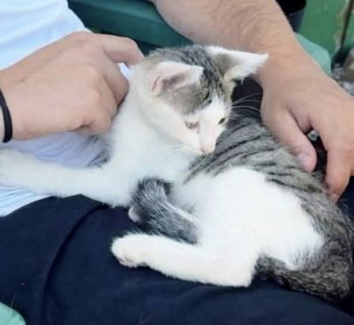 Lauser 250821-132634