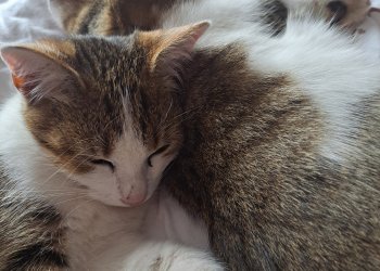Lena und Leo 251021-131723