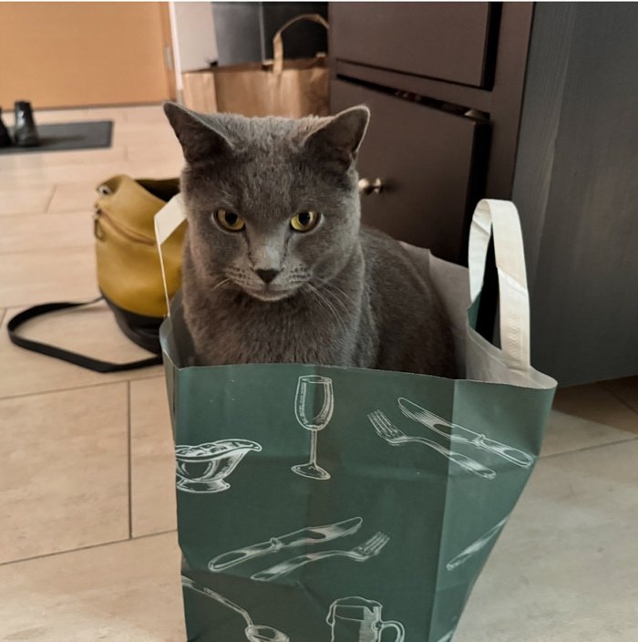 Leonardo 250808-160133