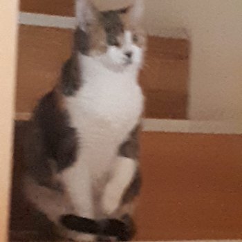 Leonie 250823-192423