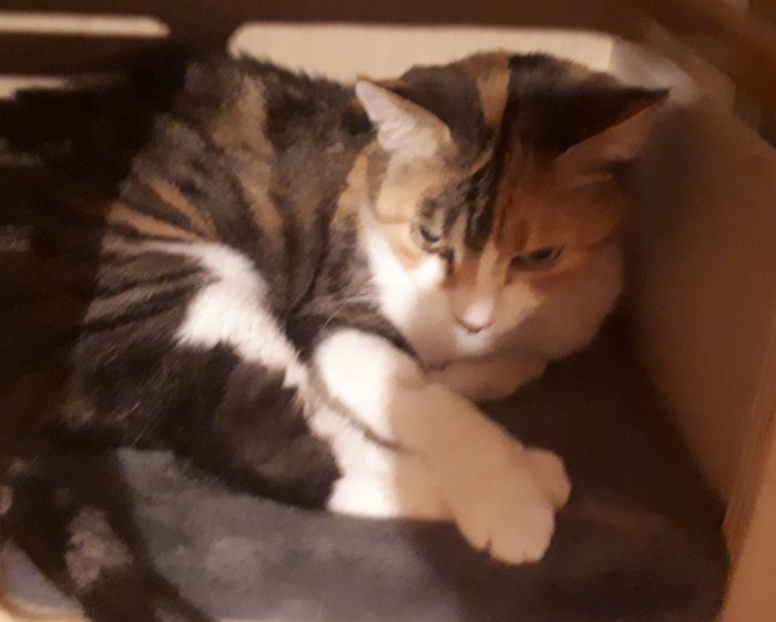 Leonie 250823-192423