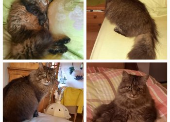 Lilli 250630-204952
