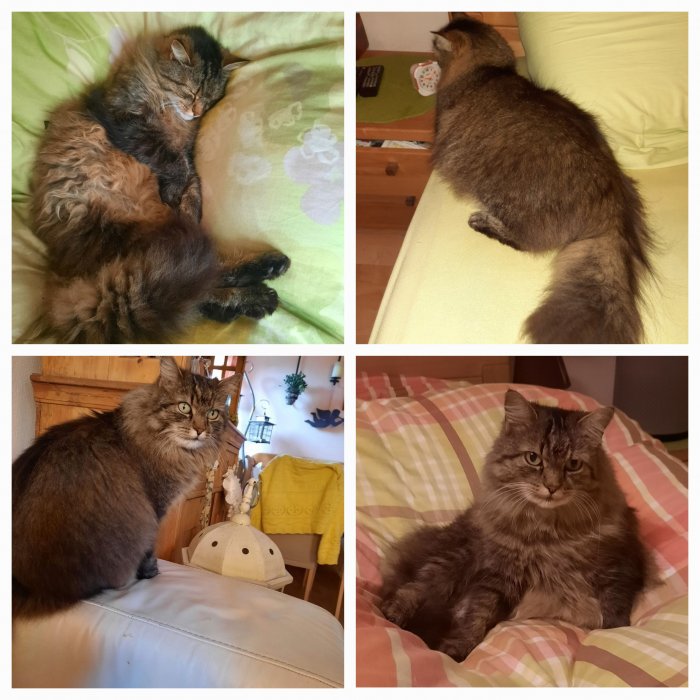 Lilli 250630-204952