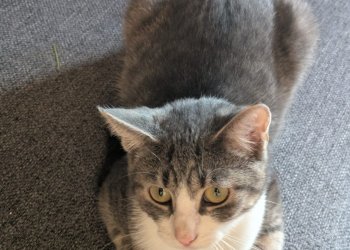 Lilly  251126-184701