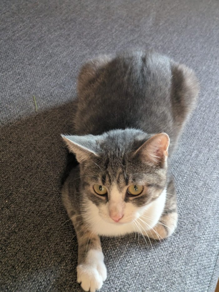 Lilly  251126-184701