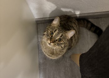 Lilo 260522-064238
