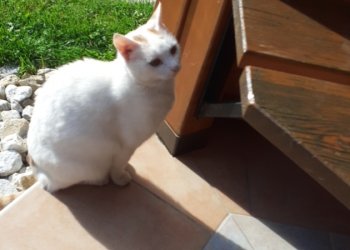 Lina 250722-204533
