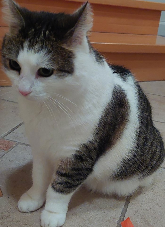 Lola 250703-004951