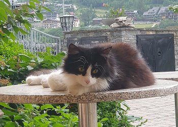 Lucie 250719-102527