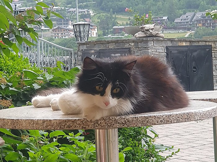 Lucie 250719-102527