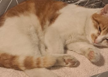 Lucky 250416-181130