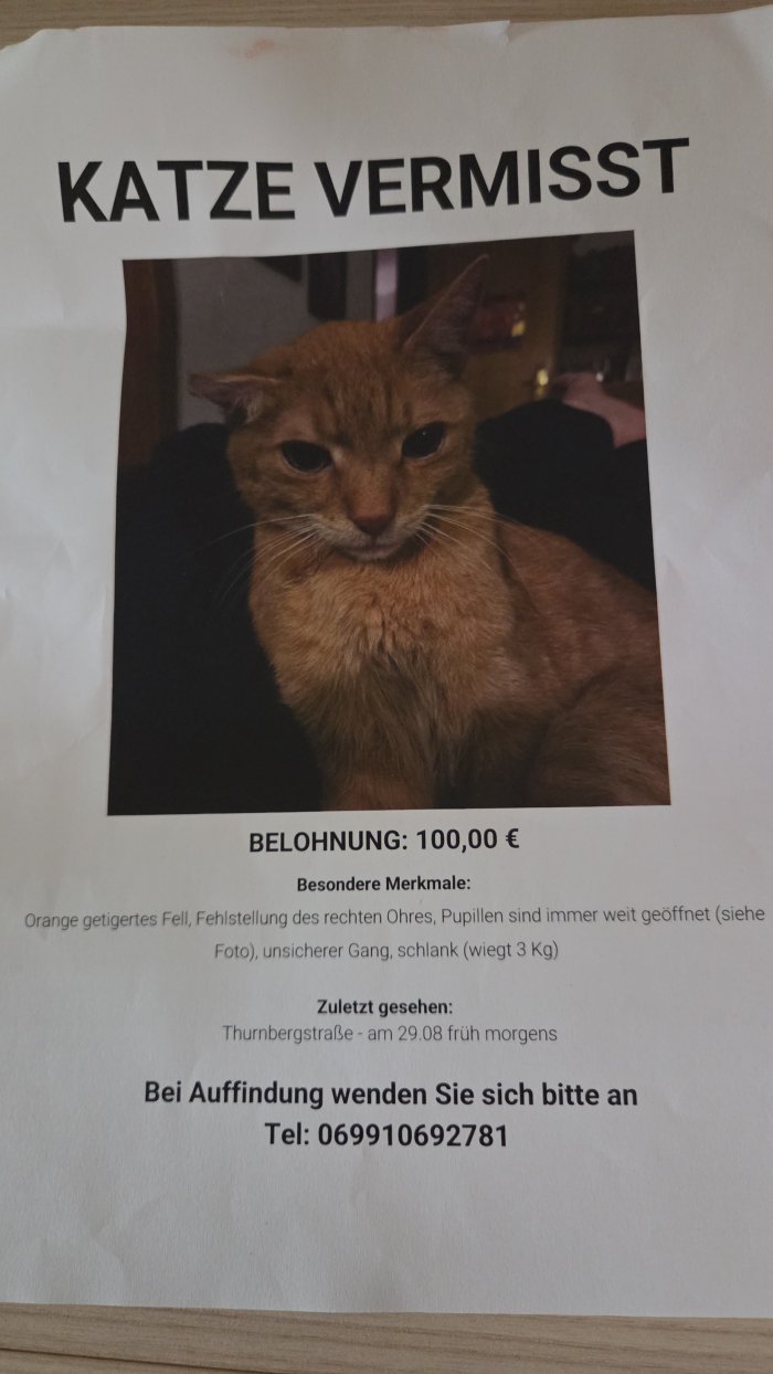 Ludwig  250902-144027