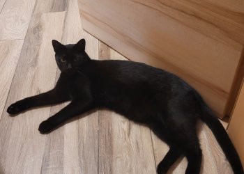 Luna 250814-124011