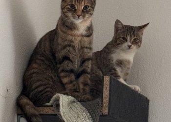 Luna & Mimi 260221-221501