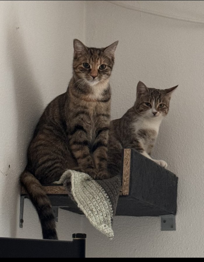 Luna & Mimi 260221-221501